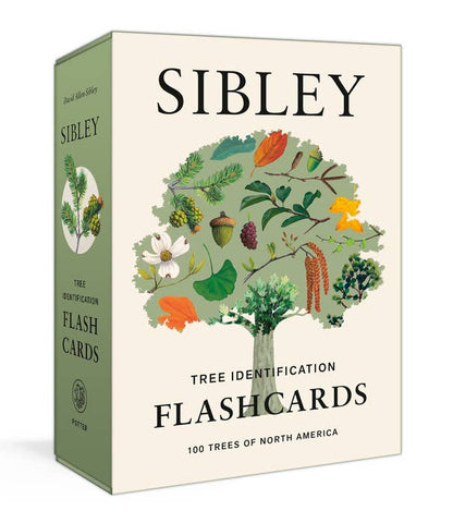 Sibley Tree Flashcards